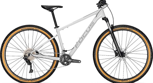 Focus Whistler 3.8