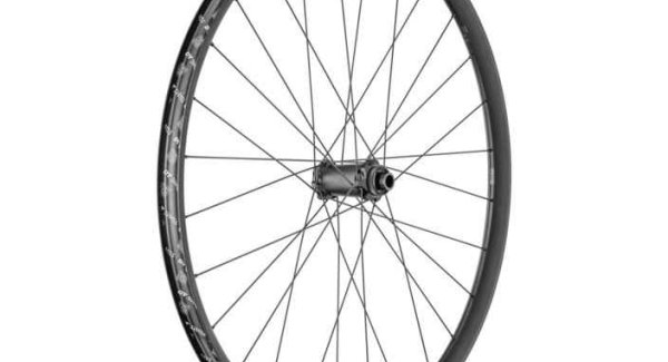 DT Swiss HX 1700 SPLINE roue 29" CL 30 110/15