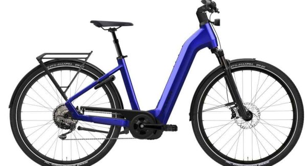 Flyer Gotour 7.10 Comf (S)