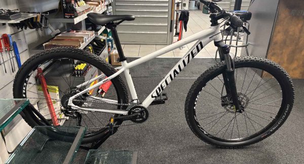 Specialized Specialized Rockhopper 29" occasion 