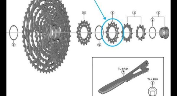 Shimano Pignon CS-M9100-12 14 dents