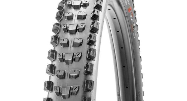 Maxxis Dissector TR EXO+ 60TPI 3C TERRA 