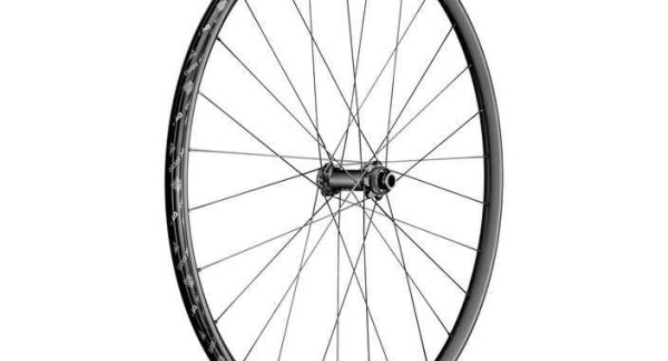 DT Swiss XR 1700 SPLINE roue 29" CL 25 15/110mm