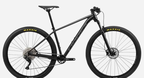 Orbea ONNA 29 20 L Black - Silver,