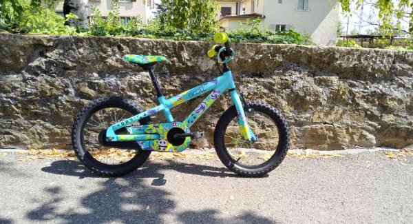 Scott contessa store jr 16