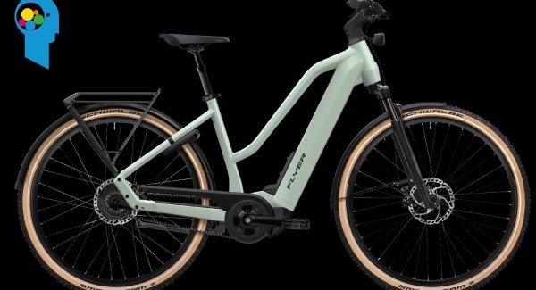 Vélos flyer hot sale