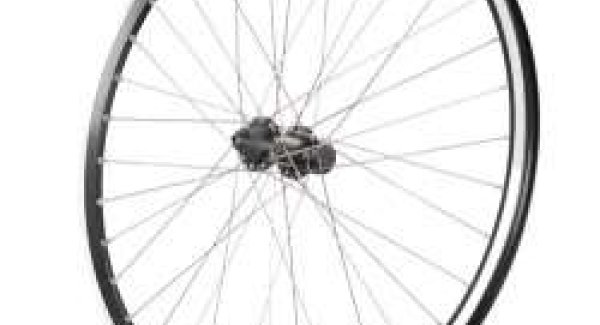 Fuchs-Movesa Roue arr. V-Brake 26" 7-vitesses FHTY5007AZB QR 36-trous QR noir