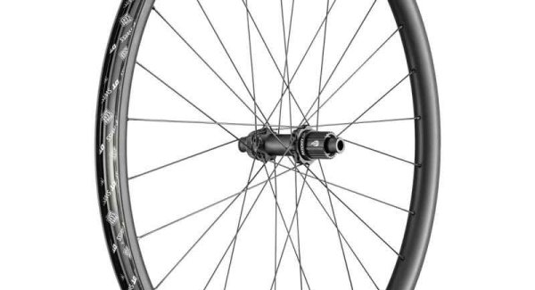DT Swiss DT roue EXC 1501 SP 29 CL 30 12/148 XD